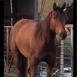 Meet your Posher, Matt